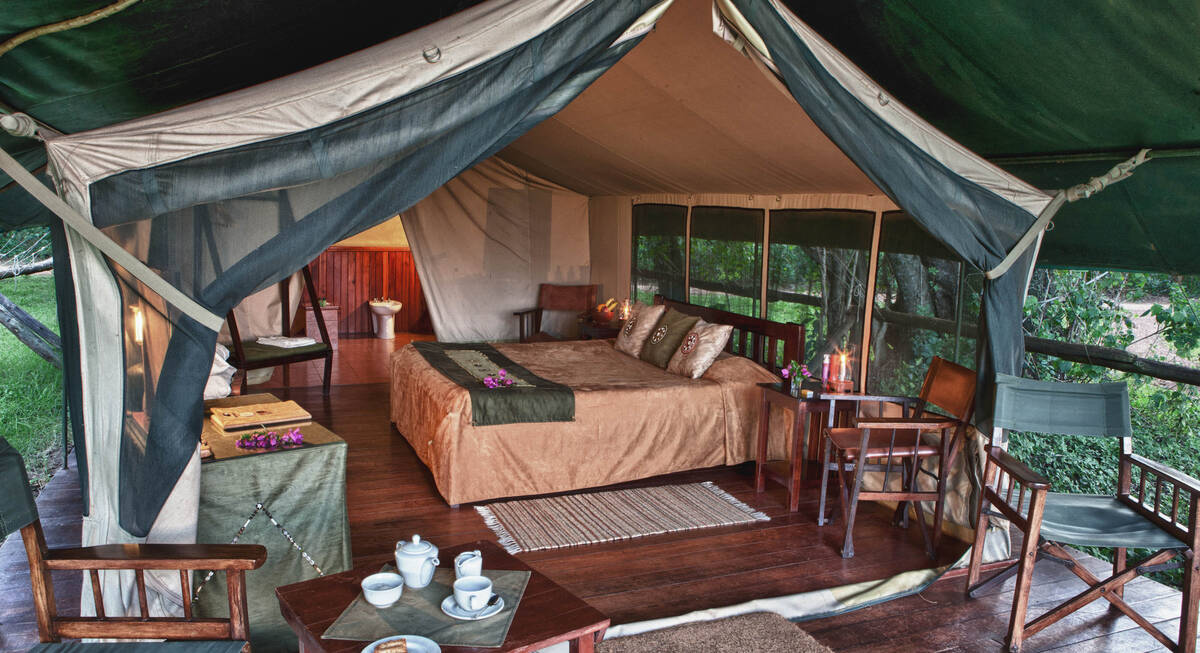 Elephant Bedroom Camp image 5